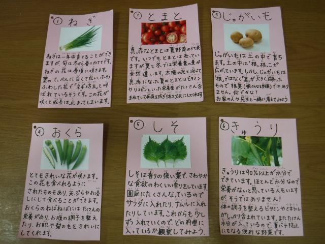 うえしお食育 Vol 4 蓮美幼児学園うえしおキンダースクールブログ