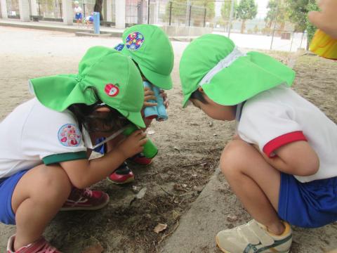 手作り望遠鏡を持って探検 蓮美幼児学園もりのみやナーサリーブログ