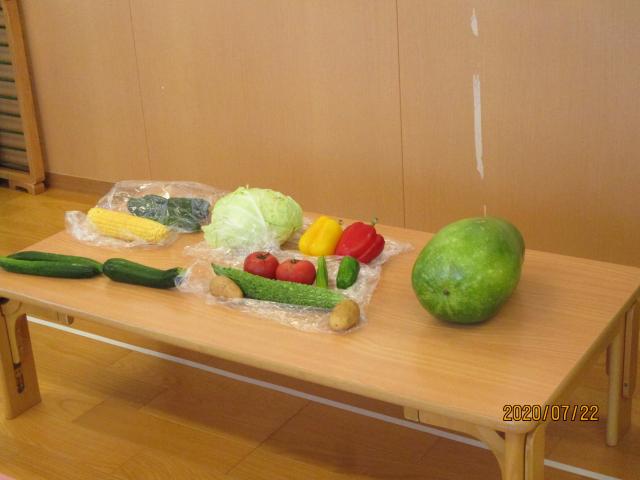 夏野菜を知ろう！（７月食育） | 蓮美幼児学園たまつくりナーサリーブログ